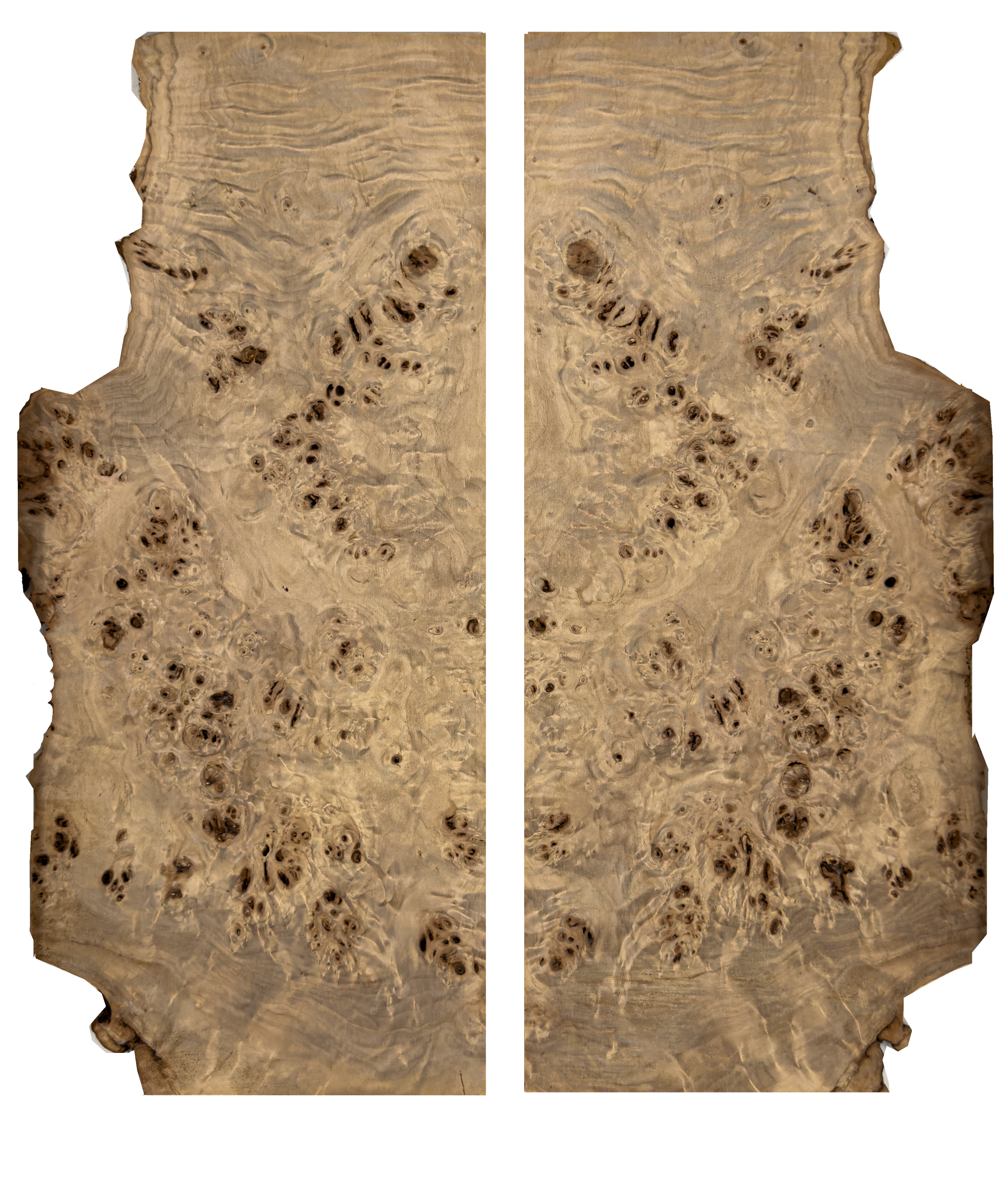 figured poplar