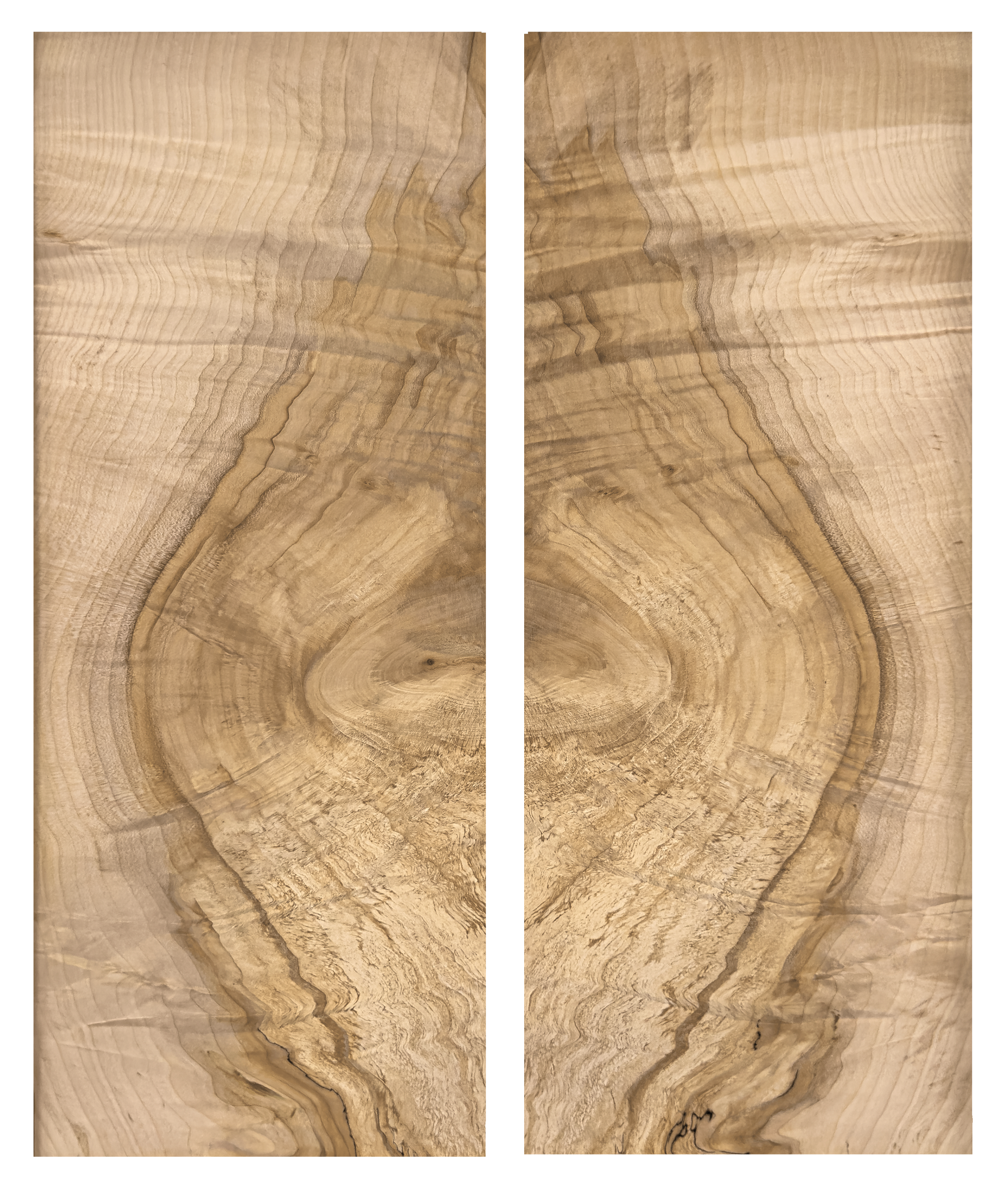 figured maple
